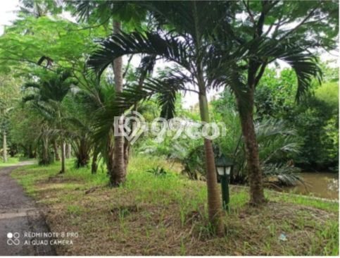 Lahan untuk Dijual di Labuan Pandeglang Luas 141491m2 Lahan untuk Dijual di Labuan Pandeglang Luas 141491m2