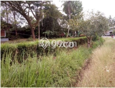 Lahan untuk Dijual di Labuan Pandeglang Luas 141491m2 Lahan untuk Dijual di Labuan Pandeglang Luas 141491m2