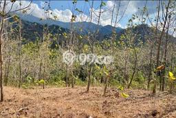Dijual Tanah di Buleleng Buleleng Luas 22500m2 SHM Dijual Tanah di Buleleng Buleleng Luas 22500m2 SHM