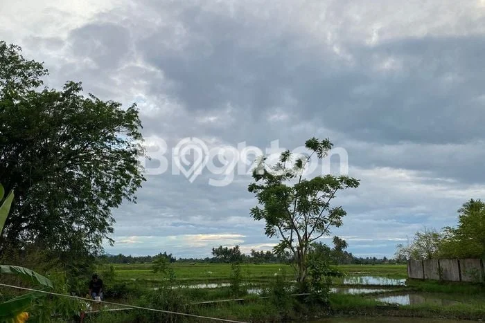Tanah Dijual di Padang Seluas 23000m2 Strategis Tanah Dijual di Padang Seluas 23000m2 Strategis