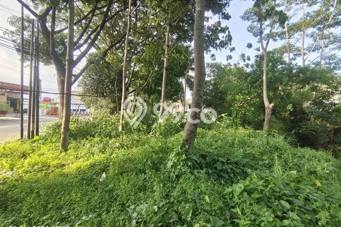 Kavling Tanah Dijual di Cianjur Cianjur Spesifikasi 1072m2 Kavling Tanah Dijual di Cianjur Cianjur Spesifikasi 1072m2