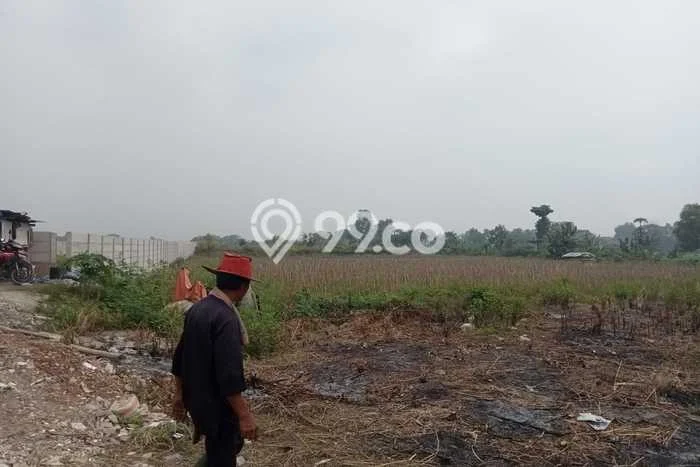 Jarang Ada! Tanah di Karawang Barat Punya Luas 10000m2 SHM Jarang Ada! Tanah di Karawang Barat Punya Luas 10000m2 SHM