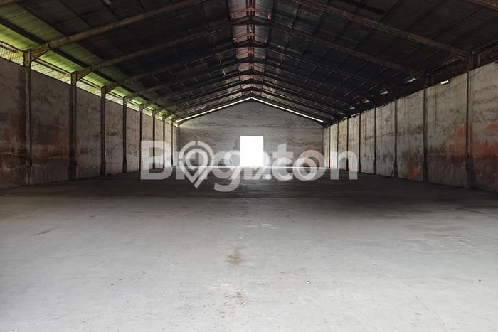 Gudang Disewakan Cepat di Percut Sei Tuan Deli Serdang LB 1656m2 Gudang Disewakan Cepat di Percut Sei Tuan Deli Serdang LB 1656m2