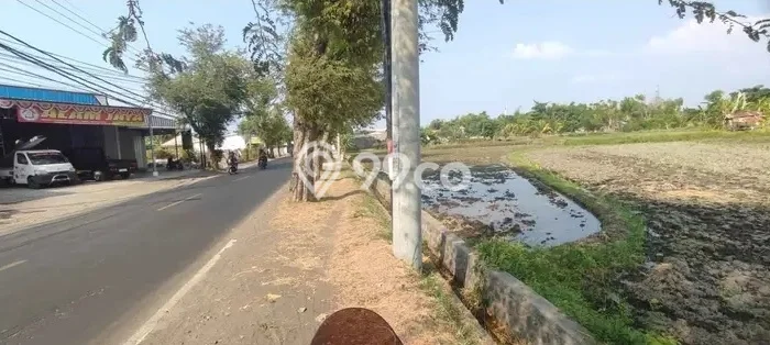 Jual Tanah Lokasi Prima Kawasan Tukadmungga, Luas 5300m², Dekat Tukadmungga, Buleleng, Buleleng Jual Tanah Lokasi Prima Kawasan Tukadmungga, Luas 5300m², Dekat Tukadmungga, Buleleng, Buleleng