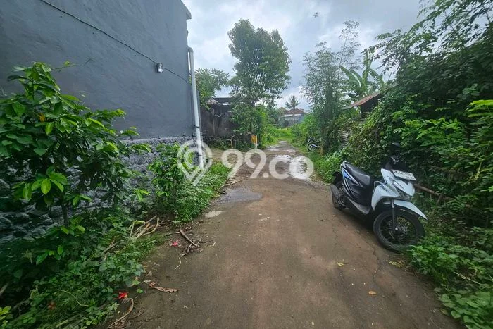 Tanah Dijual Area Strategis di Sambangan Buleleng 570m2 Tanah Dijual Area Strategis di Sambangan Buleleng 570m2