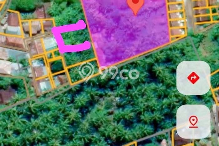 Kavling Tanah untuk Dijual di Lovina, Buleleng, Luas 3710m2 Kavling Tanah untuk Dijual di Lovina, Buleleng, Luas 3710m2