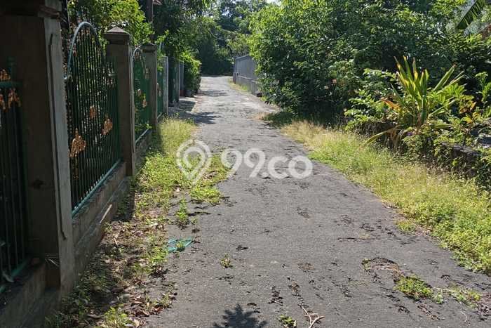 Tanah Dijual Area Strategis di Banyuasri Buleleng 440m2 Tanah Dijual Area Strategis di Banyuasri Buleleng 440m2