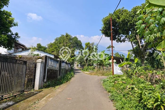 Lahan Dijual Lokasi Strategis di Bogor dengan Luas 8032m2 Lahan Dijual Lokasi Strategis di Bogor dengan Luas 8032m2