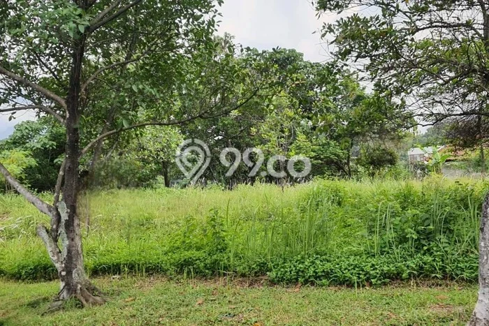 Tanah Kavling Dijual di Sentul City, Bogor dengan Luas Tanah 2121m2 Tanah Kavling Dijual di Sentul City, Bogor dengan Luas Tanah 2121m2