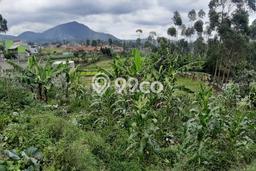 Kavling Tanah Dijual di Ciwidey Bandung Spesifikasi 13800m2 Kavling Tanah Dijual di Ciwidey Bandung Spesifikasi 13800m2