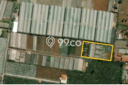 Jarang Ada! Tanah di Cisarua Punya Luas 2500m2 SHM Jarang Ada! Tanah di Cisarua Punya Luas 2500m2 SHM