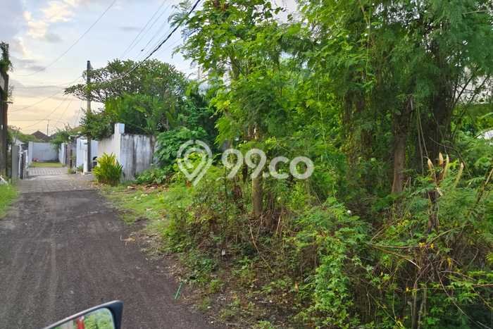Tanah Disewa di Pererenan Strategis dan Memiliki Luas 225m2 Tanah Disewa di Pererenan Strategis dan Memiliki Luas 225m2