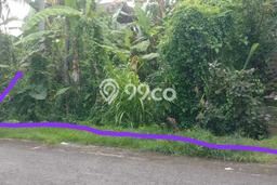 Lahan Dijual Lokasi Strategis di Tabanan dengan Luas 200m2 Lahan Dijual Lokasi Strategis di Tabanan dengan Luas 200m2