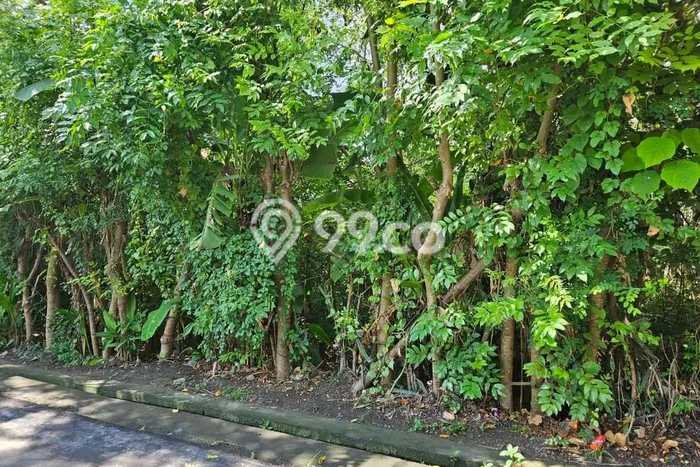 Dijual Tanah di Badung, Luas 250m2 SHM Dijual Tanah di Badung, Luas 250m2 SHM