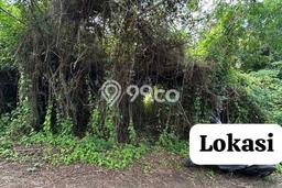 Tanah Dijual di Tabanan Seluas 110m2 Strategis Tanah Dijual di Tabanan Seluas 110m2 Strategis