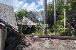 Tanah Kavling Disewakan di Umalas dengan Luas 897m2 Tanah Kavling Disewakan di Umalas dengan Luas 897m2