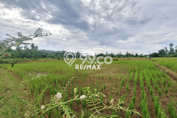 Tanah Dijual Lokasi Ciemas, Sukabumi Luas 58000m2 Legalitas Aman Tanah Dijual Lokasi Ciemas, Sukabumi Luas 58000m2 Legalitas Aman