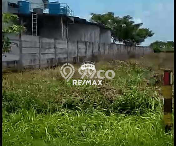 Tanah Dijual Lokasi Widang, Tuban Luas 40000m2 Legalitas Aman Tanah Dijual Lokasi Widang, Tuban Luas 40000m2 Legalitas Aman