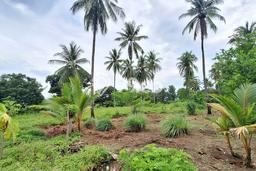 Dijual Tanah Lokasi Pelabuhan Ratu, Sukabumi Seluas 29000m2 Dijual Tanah Lokasi Pelabuhan Ratu, Sukabumi Seluas 29000m2