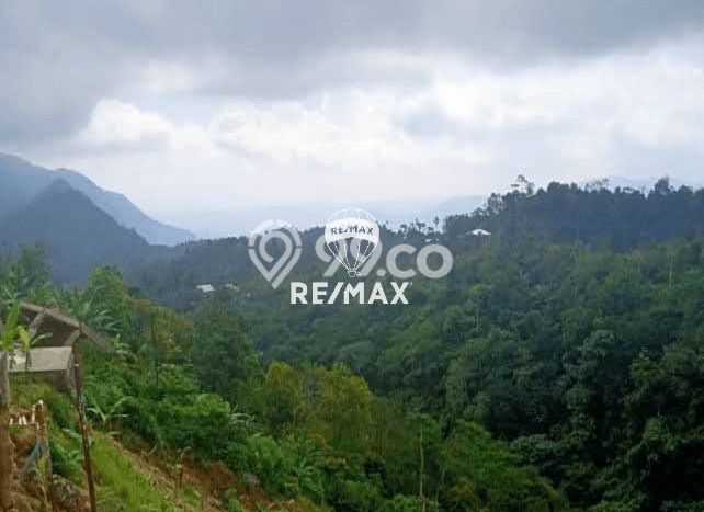 Tanah Komersial Dijual di Sukasada Buleleng 65120m2 Tanah Komersial Dijual di Sukasada Buleleng 65120m2