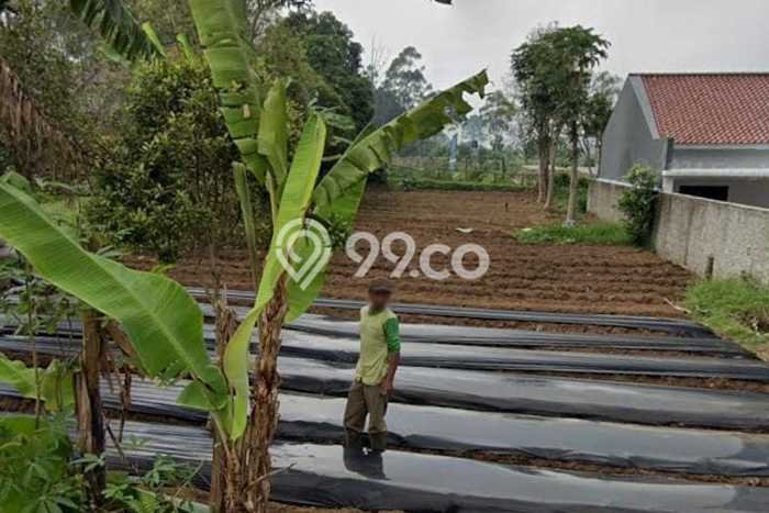 Lahan Strategis di Regol Dijual dengan Luas 700m2 Lahan Strategis di Regol Dijual dengan Luas 700m2