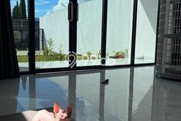 Rumah Minimalis 2 Kamar LT 171m2 di Sariwangi Rumah Minimalis 2 Kamar LT 171m2 di Sariwangi