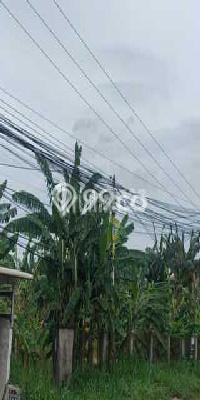 Tanah Siap Bangun Dijual di Bogor Punya Luas 6000m2 Tanah Siap Bangun Dijual di Bogor Punya Luas 6000m2