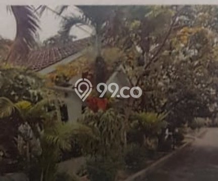 Rumah Luas Asri 3 KT Siap Pakai di Limusnunggal Bogor Rumah Luas Asri 3 KT Siap Pakai di Limusnunggal Bogor