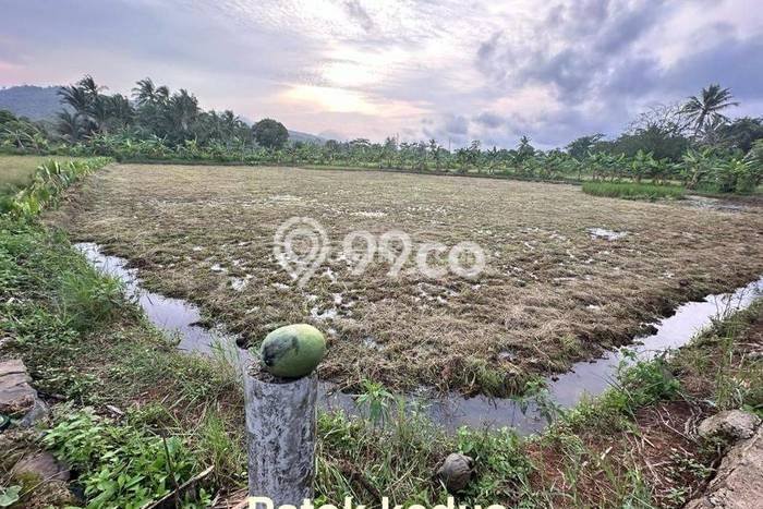 Lahan untuk Dijual Lokasi Carita, Pandeglang Luas 43800m2 SHM Lahan untuk Dijual Lokasi Carita, Pandeglang Luas 43800m2 SHM