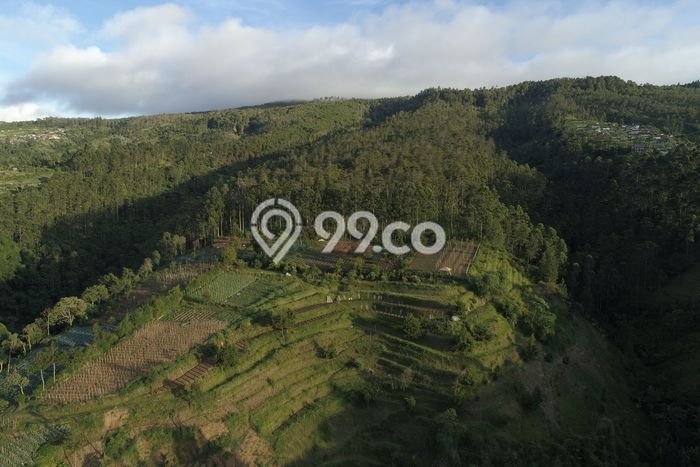 Lahan Investasi Lokasi Lembang Bandung Barat SHM Lahan Investasi Lokasi Lembang Bandung Barat SHM