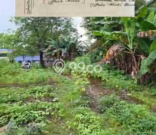 Lahan untuk Disewa di Tangerang Luas 2405m2 Lahan untuk Disewa di Tangerang Luas 2405m2
