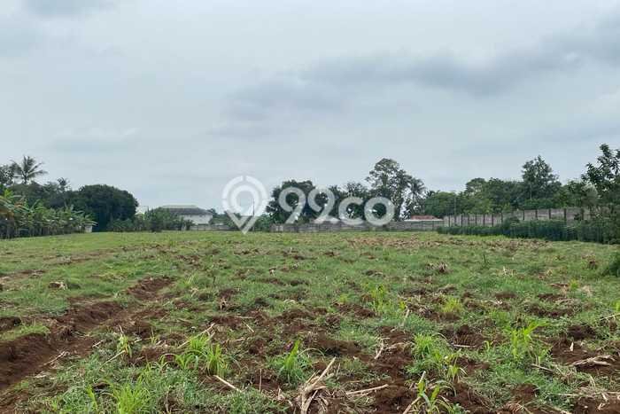 Kavling Tanah di Cisauk Dijual Luas 16010m2 Legalitas SHM Kavling Tanah di Cisauk Dijual Luas 16010m2 Legalitas SHM