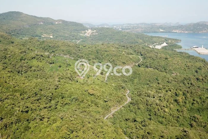Tanah Dijual di Manggarai Barat Seluas 100000m2 Strategis Tanah Dijual di Manggarai Barat Seluas 100000m2 Strategis