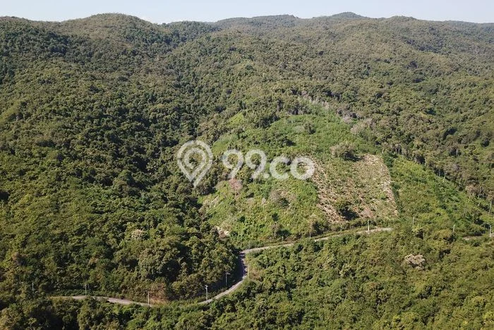 Tanah Dijual di Manggarai Barat Seluas 100000m2 Strategis Tanah Dijual di Manggarai Barat Seluas 100000m2 Strategis