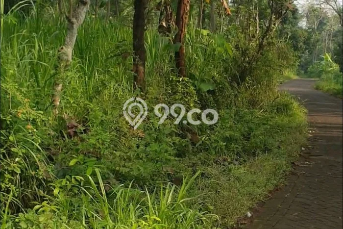 Lahan Kosong Dijual di Pasuruan dengan Area 11540m2 Lahan Kosong Dijual di Pasuruan dengan Area 11540m2