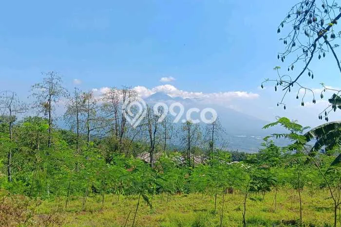 Tanah Lokasi Premium di Tutur, Luas 18690m2m², Cocok untuk Bisnis Tanah Lokasi Premium di Tutur, Luas 18690m2m², Cocok untuk Bisnis