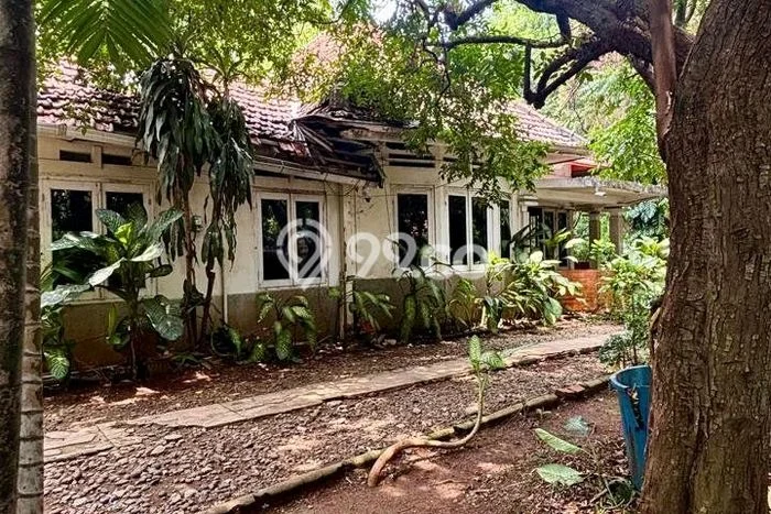 Jual Rumah Murah Meriah Menteng Punya 4 KT & LT 870m2 Jual Rumah Murah Meriah Menteng Punya 4 KT & LT 870m2