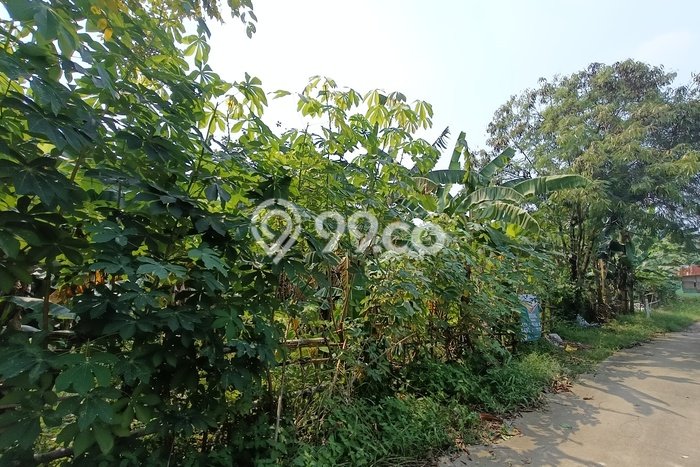Tanah Kavling untuk Dijual di Ciputat Tangerang Selatan 545m2 Tanah Kavling untuk Dijual di Ciputat Tangerang Selatan 545m2