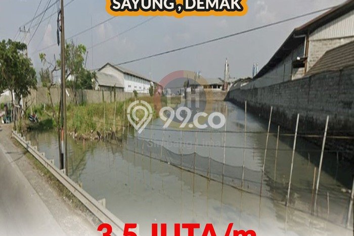 Lahan Investasi Lokasi Sayung Demak SHM Lahan Investasi Lokasi Sayung Demak SHM