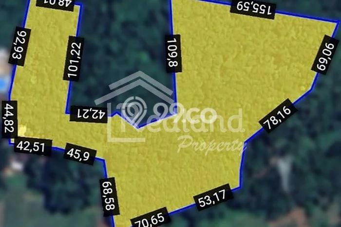 Kavling Tanah di Banyuputih Dijual Luas 33000m2 Legalitas SHM Kavling Tanah di Banyuputih Dijual Luas 33000m2 Legalitas SHM