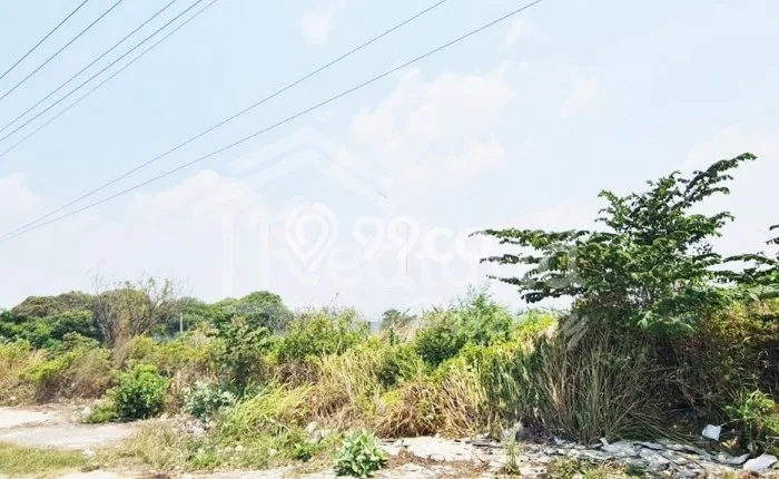 For Rent Gudang Kawasan Kaliwungu, Luas 6000m2m², Lokasi Bisnis For Rent Gudang Kawasan Kaliwungu, Luas 6000m2m², Lokasi Bisnis