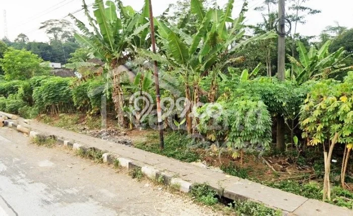 Kavling Tanah Dijual di Banyuputih, Batang, Luas 1940m2 Area Strategis Kavling Tanah Dijual di Banyuputih, Batang, Luas 1940m2 Area Strategis