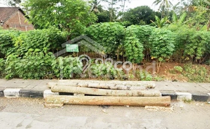 Kavling Tanah Dijual di Banyuputih, Batang, Luas 1940m2 Area Strategis Kavling Tanah Dijual di Banyuputih, Batang, Luas 1940m2 Area Strategis