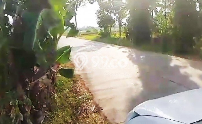 Tanah di Gringsing, Batang Luas 300000m2 Dijual Segera Tanah di Gringsing, Batang Luas 300000m2 Dijual Segera