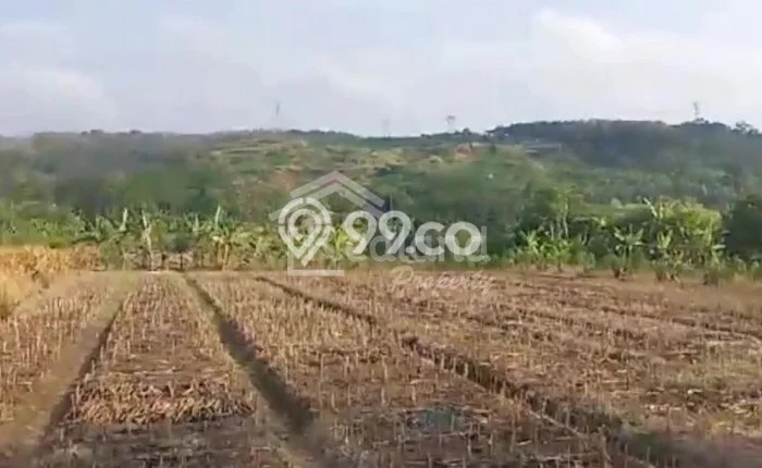 Tanah di Gringsing, Batang Luas 300000m2 Dijual Segera Tanah di Gringsing, Batang Luas 300000m2 Dijual Segera