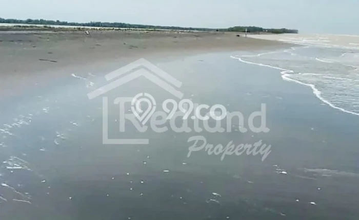 Lahan Investasi Lokasi Patebon Kendal SHM Lahan Investasi Lokasi Patebon Kendal SHM
