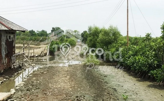 Lahan Investasi Lokasi Patebon Kendal SHM Lahan Investasi Lokasi Patebon Kendal SHM
