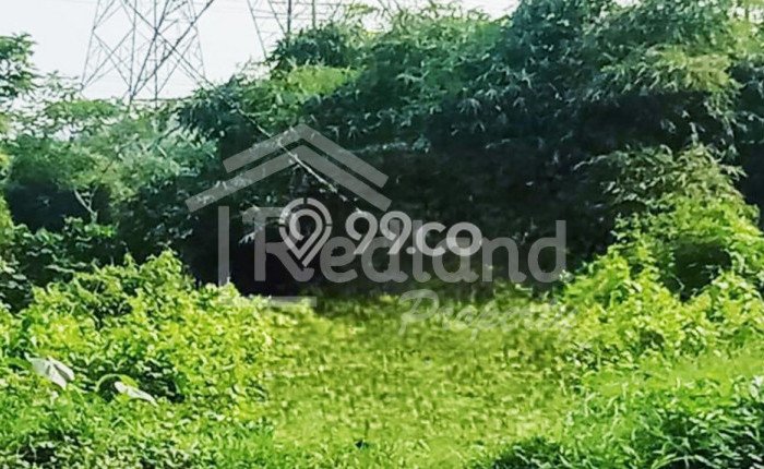 Tanah Kosong Dijual di Batang dengan Area 2211m2 Tanah Kosong Dijual di Batang dengan Area 2211m2
