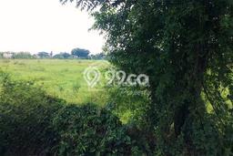 Untuk Dijual Tanah di Sukoharjo Sukoharjo Luas 5200m2 SHM Untuk Dijual Tanah di Sukoharjo Sukoharjo Luas 5200m2 SHM