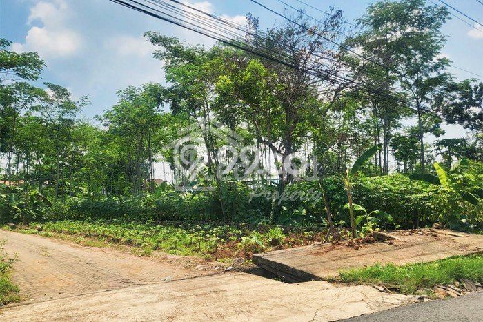 Tanah Kavling di Mijen Dijual dengan Luas 216m2 Tanah Kavling di Mijen Dijual dengan Luas 216m2
